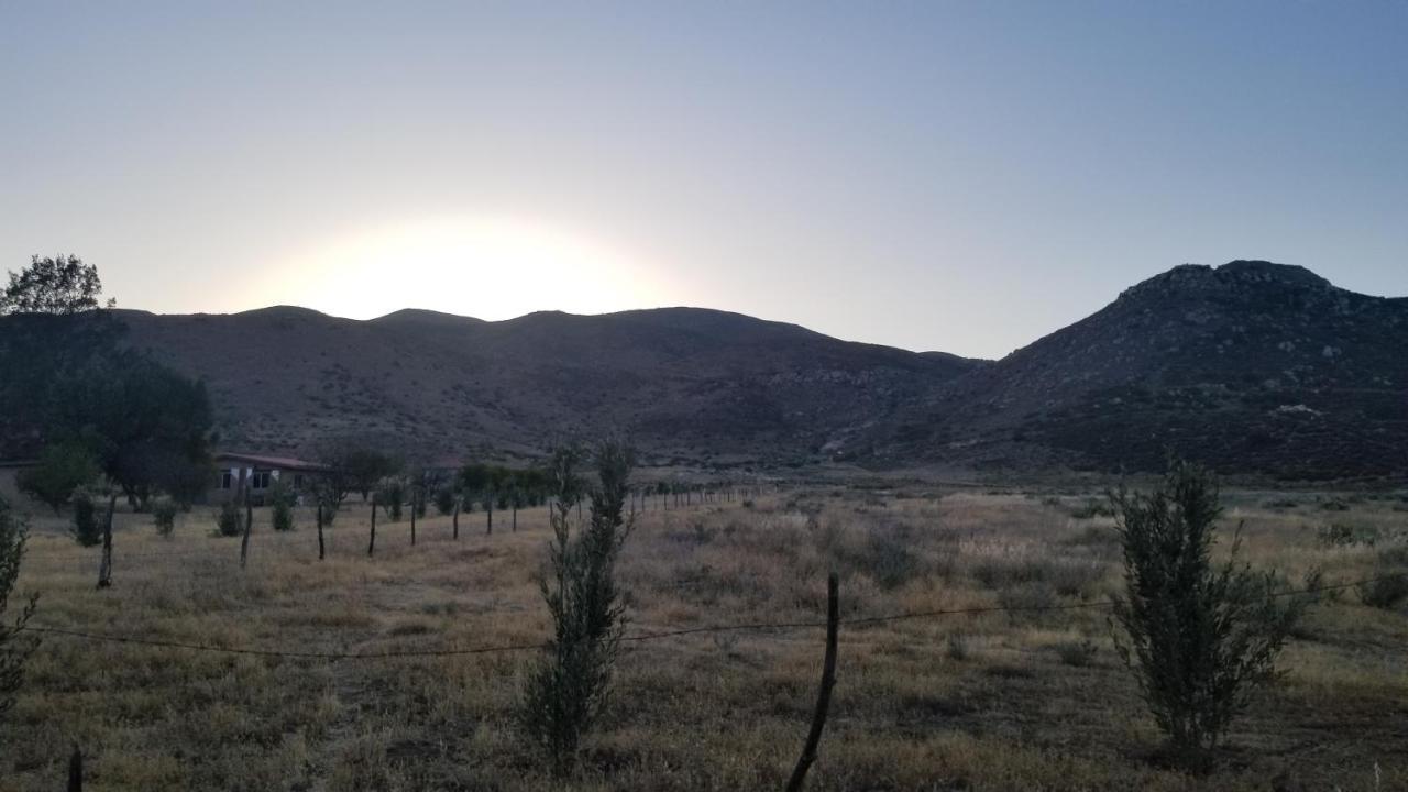 Cabanas Los Laureles Ruta Del Vino Ensenada Buitenkant foto